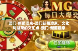 澳门·新葡澳京-澳门新葡澳京，文化与繁荣的交汇点-澳门·新葡澳京