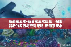 新葡京反水-新葡京反水现象，探索背后的原因与应对策略-新葡京反水
