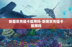 新葡京充值卡能用吗-新葡京充值卡能用吗