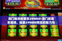 澳门赌场新葡京299808-澳门新葡京赌场，探索299808背后的魅力与神秘-澳门赌场新葡京299808
