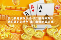 澳门新葡京娱乐场-澳门新葡京娱乐场的魅力与特色-澳门新葡京娱乐场
