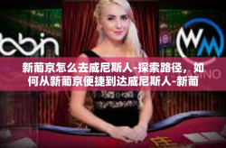 新葡京怎么去威尼斯人-探索路径，如何从新葡京便捷到达威尼斯人-新葡京怎么去威尼斯人