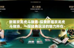 新葡京龙虎斗赌场-探索新葡京龙虎斗赌场，一探经典玩法的魅力所在-新葡京龙虎斗赌场