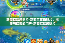 新葡京赌场照片-新葡京赌场照片，揭秘与探索的门户-新葡京赌场照片