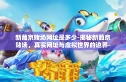 新葡京赌场网址是多少-揭秘新葡京赌场，真实网址与虚拟世界的边界-新葡京赌场网址是多少