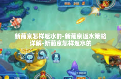新葡京怎样返水的-新葡京返水策略详解-新葡京怎样返水的
