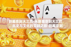 新葡京到大三巴-从新葡京到大三巴，历史与文化的交融之旅-新葡京到大三巴