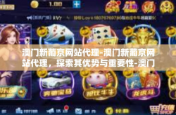 澳门新葡京网站代理-澳门新葡京网站代理，探索其优势与重要性-澳门新葡京网站代理