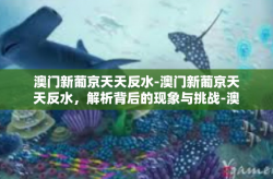 澳门新葡京天天反水-澳门新葡京天天反水，解析背后的现象与挑战-澳门新葡京天天反水