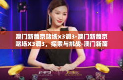 澳门新葡京赌场x3调3-澳门新葡京赌场X3调3，探索与挑战-澳门新葡京赌场x3调3