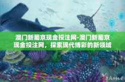 澳门新葡京现金投注网-澳门新葡京现金投注网，探索现代博彩的新领域-澳门新葡京现金投注网