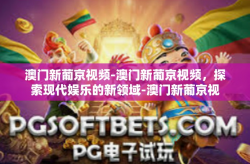 澳门新葡京视频-澳门新葡京视频，探索现代娱乐的新领域-澳门新葡京视频