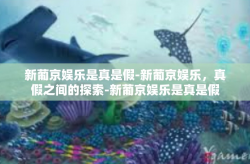 新葡京娱乐是真是假-新葡京娱乐，真假之间的探索-新葡京娱乐是真是假