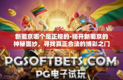 新葡京哪个是正规的-揭开新葡京的神秘面纱，寻找真正合法的博彩之门-新葡京哪个是正规的