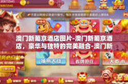 澳门新葡京酒店图片-澳门新葡京酒店，豪华与独特的完美融合-澳门新葡京酒店图片