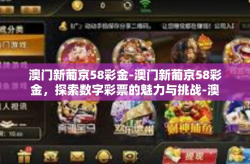 澳门新葡京58彩金-澳门新葡京58彩金，探索数字彩票的魅力与挑战-澳门新葡京58彩金