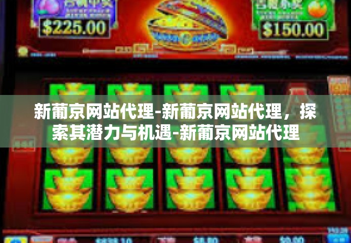 新葡京网站代理-新葡京网站代理，探索其潜力与机遇-新葡京网站代理