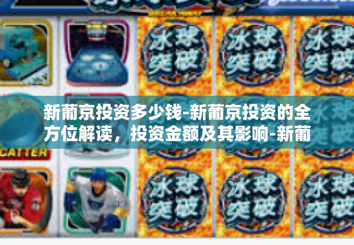 新葡京投资多少钱-新葡京投资的全方位解读，投资金额及其影响-新葡京投资多少钱