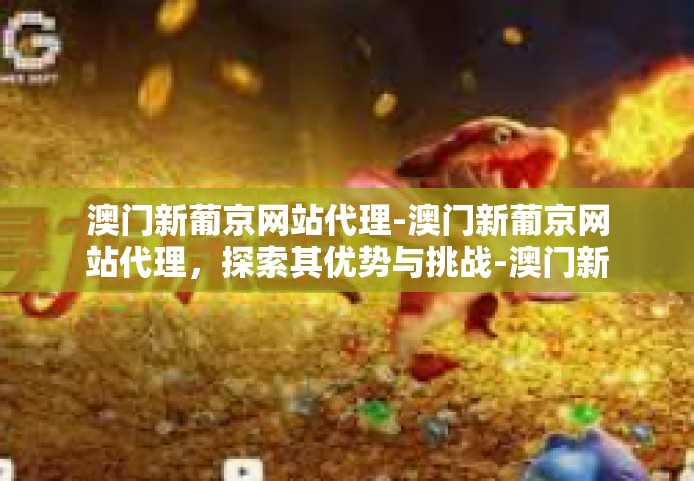 澳门新葡京网站代理-澳门新葡京网站代理，探索其优势与挑战-澳门新葡京网站代理
