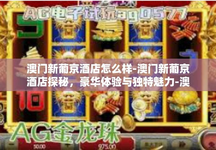 澳门新葡京酒店怎么样-澳门新葡京酒店探秘，豪华体验与独特魅力-澳门新葡京酒店怎么样