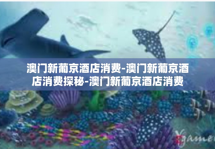 澳门新葡京酒店消费-澳门新葡京酒店消费探秘-澳门新葡京酒店消费