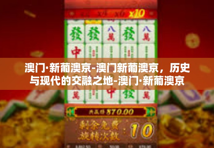 澳门·新葡澳京-澳门新葡澳京，历史与现代的交融之地-澳门·新葡澳京