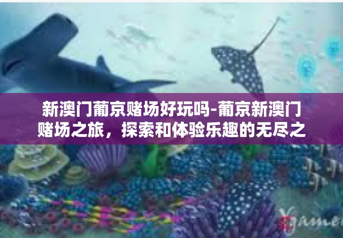新澳门葡京赌场好玩吗-葡京新澳门赌场之旅，探索和体验乐趣的无尽之处-新澳门葡京赌场好玩吗