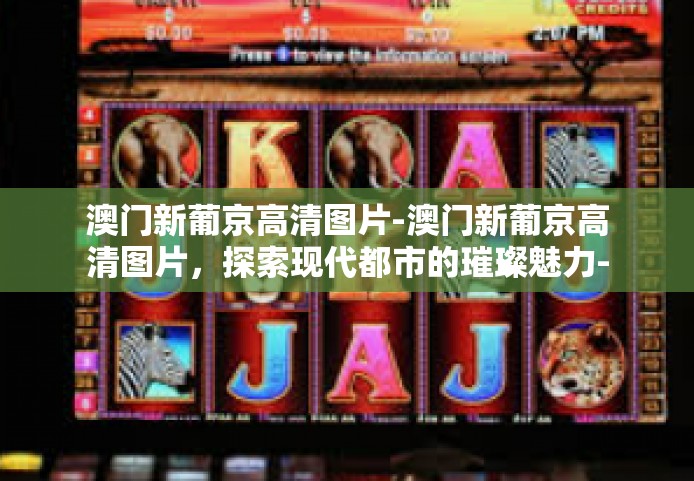澳门新葡京高清图片-澳门新葡京高清图片，探索现代都市的璀璨魅力-澳门新葡京高清图片