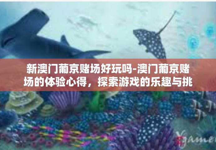 新澳门葡京赌场好玩吗-澳门葡京赌场的体验心得，探索游戏的乐趣与挑战-新澳门葡京赌场好玩吗